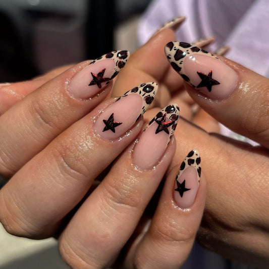 S88 Zebra Stars